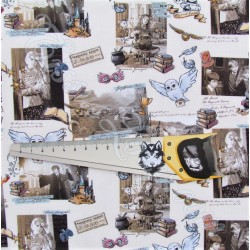 Tessuto di Cotone Harry Potter Hogwarts | Tissus Loup