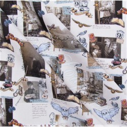 Tessuto di Cotone Harry Potter Hogwarts | Tissus Loup