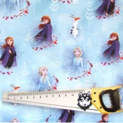 Tessuto di Cotone Frozen Il Regno di Ghiaccio Anna ed Elsa Disney | Tessuti Lupo