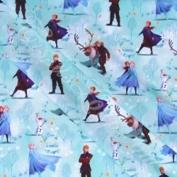 Tessuto Cotone  Elsa Anna e Kristoff Frozen - Il Regno di Ghiaccio Disney | Tessuti Lupo